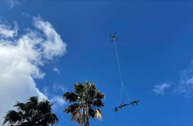 加拿大初創公司Outreach Robotics通過無人機創新保護瀕危植物(圖1) 加拿大初創公司Outreach Robotics通過無人機創新保護瀕危植物(圖1)